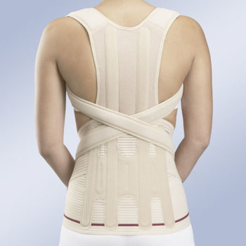 Грудопоясничный модуль корсета Dorso Evotec EV-203 Orliman, Испания