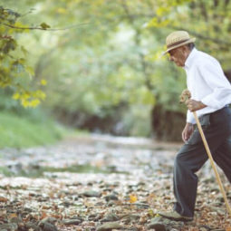 Купить трость в Украине